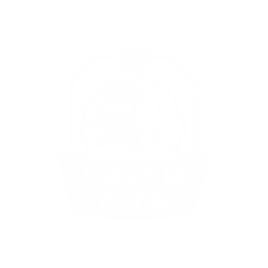 Play IN Uzbekistan